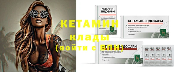 хмурый Аркадак