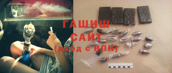 хмурый Аркадак
