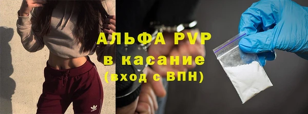 хмурый Аркадак