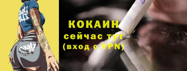 дживик Арсеньев