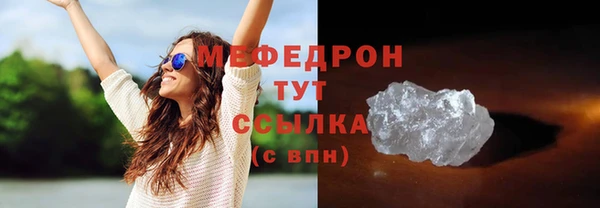 хмурый Аркадак