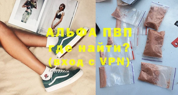 хмурый Аркадак