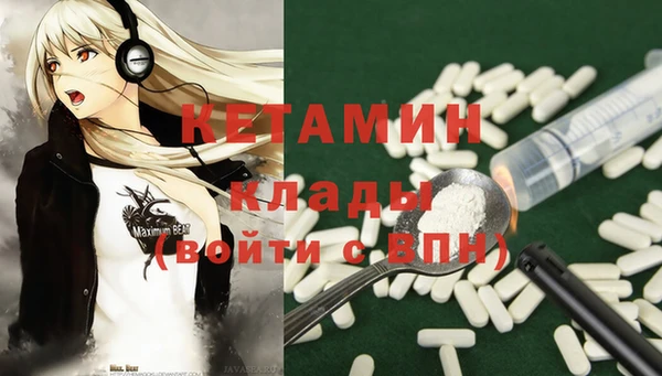хмурый Аркадак