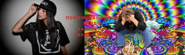 спиды Армянск