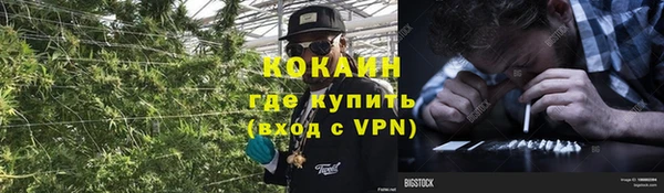 хмурый Аркадак