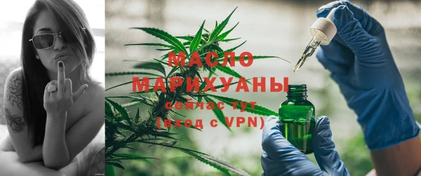 хмурый Аркадак