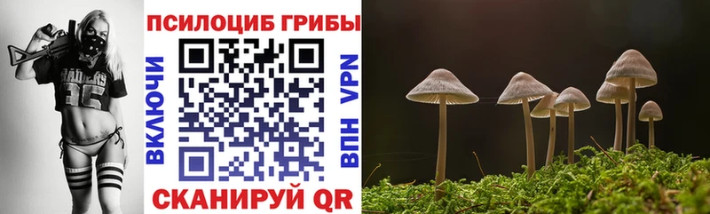 Галлюциногенные грибы Psilocybe  мориарти как зайти  Порхов 